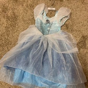 Cinderella costume